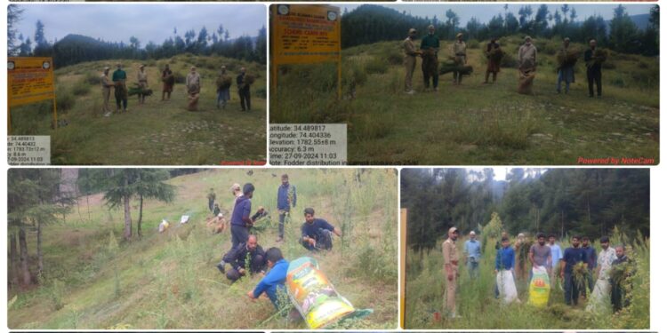 1900 Quintals of Fodder Distributed Among locals by Kamraj Forest Division, J&K Forest Department