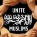 United We Stand, Divided We Fall