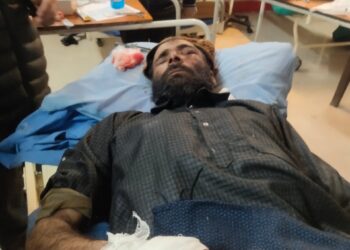 Leopard Attack in Doban Machil Leaves Man Severely Injured