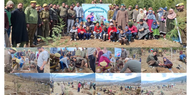 Kamraj Forest Division Kupwara Organizes “Ek Ped Maa Ke Naam” Plantation Drive in Soga