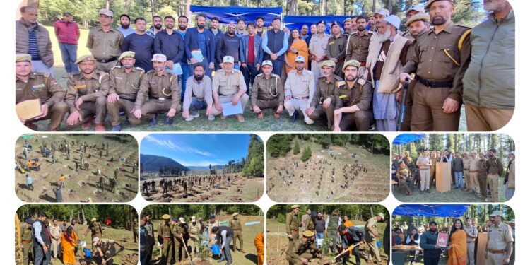 Mega Plantation Drive Conducted in Co.13 Kandi, Kamraj Forest Division