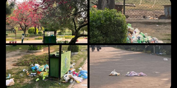 Neglect Turns Badamwari Garden into Dumping Ground: Zaira Wasim Expresses Heartbreak Over Littered Landscape
