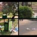 Neglect Turns Badamwari Garden into Dumping Ground: Zaira Wasim Expresses Heartbreak Over Littered Landscape