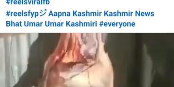 Fake News Alert: Misleading Facebook Post Sparks Panic Over ‘Donkey Meat’ Video