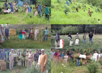 Kamraj Forest Division Distributes 258 Quintals of Green Fodder under “Forests for Fodder” Initiative