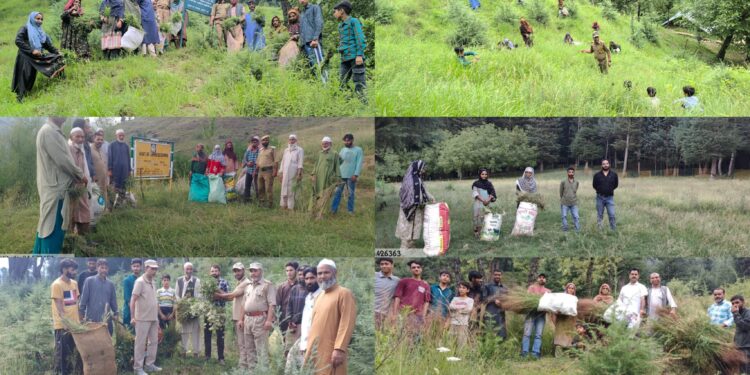 Kamraj Forest Division Distributes 258 Quintals of Green Fodder under “Forests for Fodder” Initiative