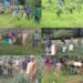 Kamraj Forest Division Distributes 258 Quintals of Green Fodder under “Forests for Fodder” Initiative