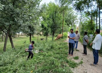 Sonawari: Excise Dept Launches Crackdown on Narcotic Crop Cultivation 