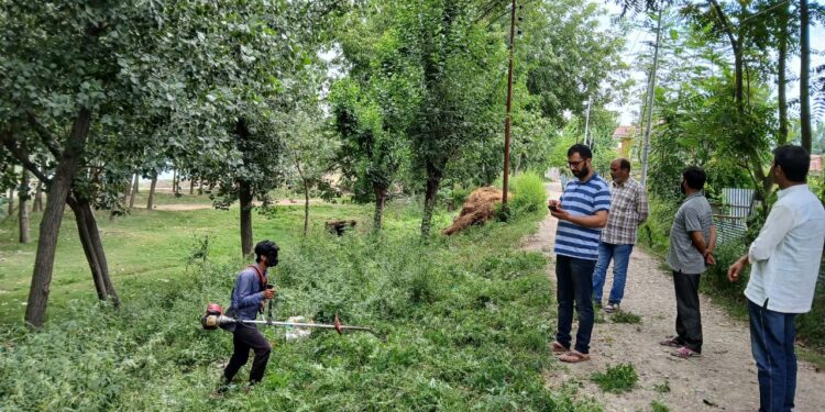 Sonawari: Excise Dept Launches Crackdown on Narcotic Crop Cultivation 